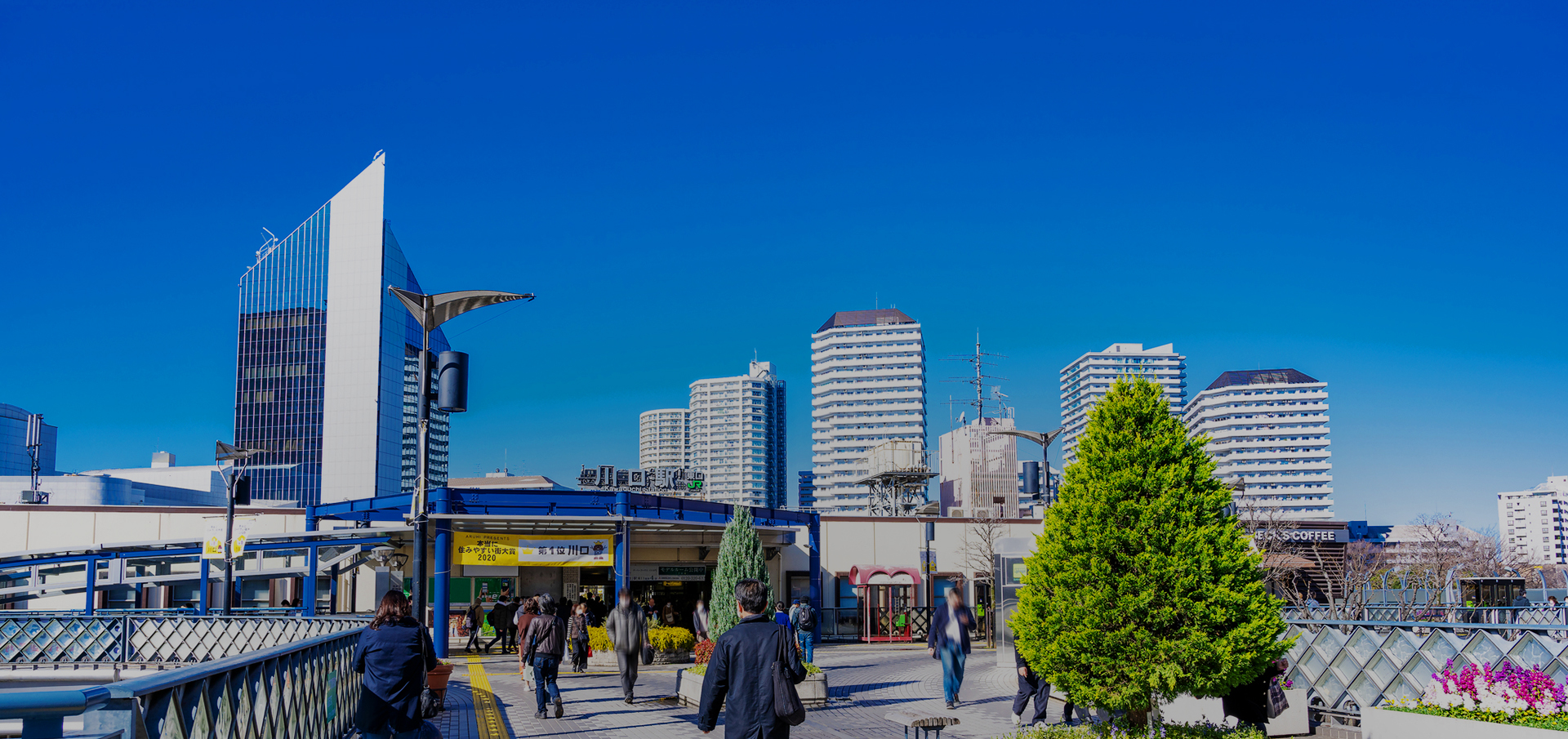 学校法人文化学園